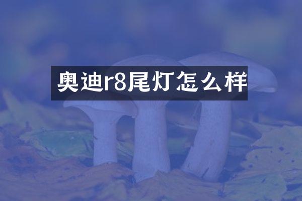 奥迪r8尾灯怎么样