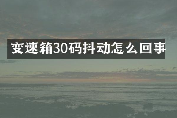 变速箱30码抖动怎么回事