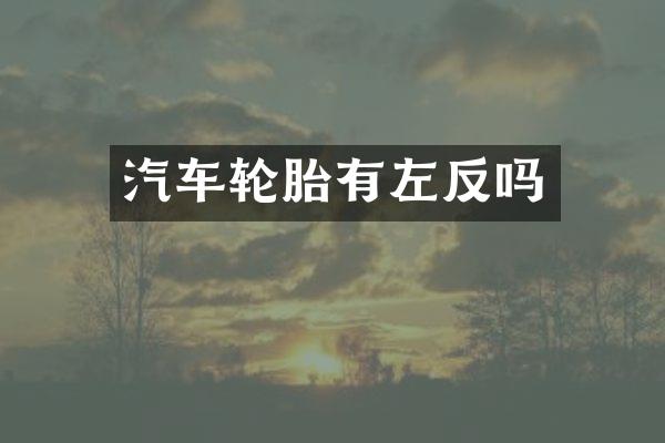 汽车轮胎有左反吗