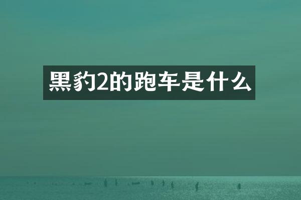 黑豹2的跑车是什么