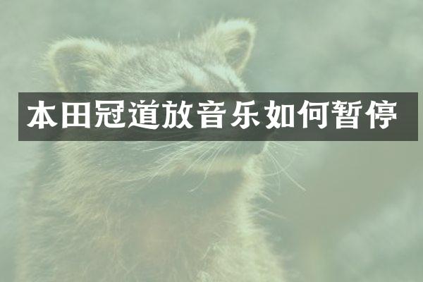 本田冠道放音乐如何暂停