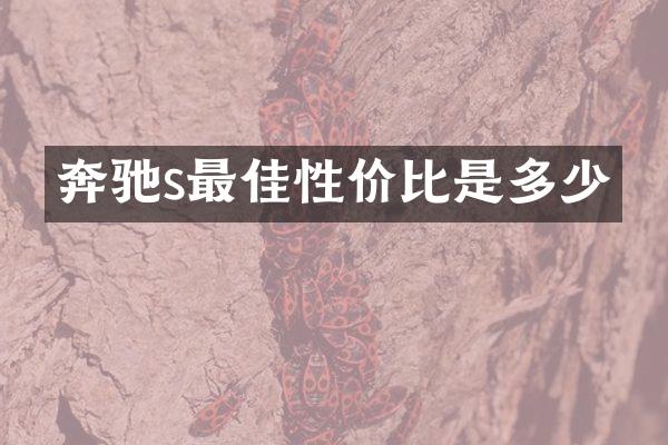 奔驰s最佳性价比是多少