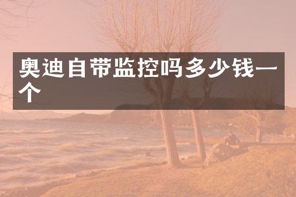 奥迪自带监控吗多少钱一个