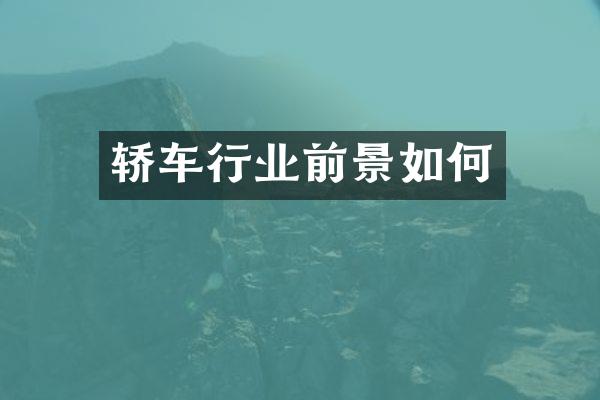 轿车行业前景如何