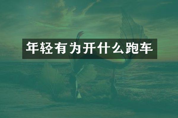 年轻有为开什么跑车