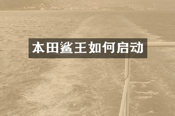 本田鲨王如何启动
