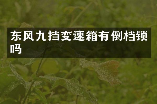 东风九挡变速箱有倒档锁吗