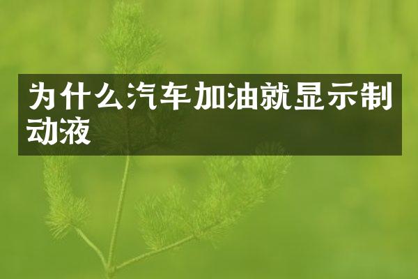 为什么汽车加油就显示制动液