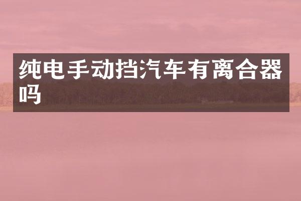 纯电手动挡汽车有离合器吗