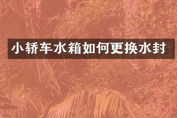 小轿车水箱如何更换水封