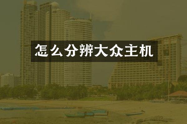 怎么分辨大众主机