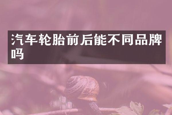 汽车轮胎前后能不同品牌吗