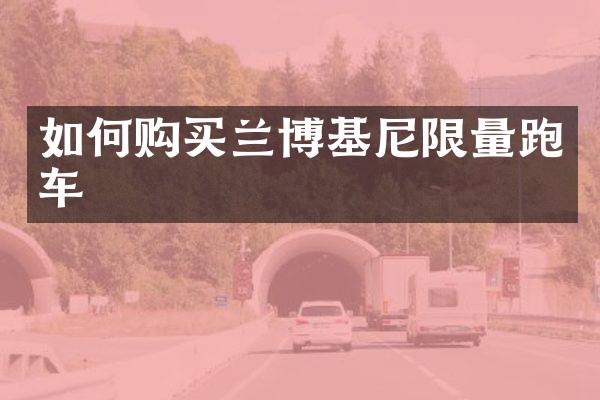 如何购买兰博基尼限量跑车