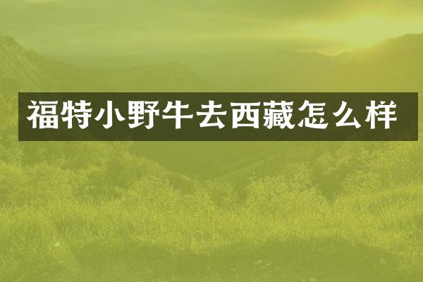 福特小野牛去西藏怎么样