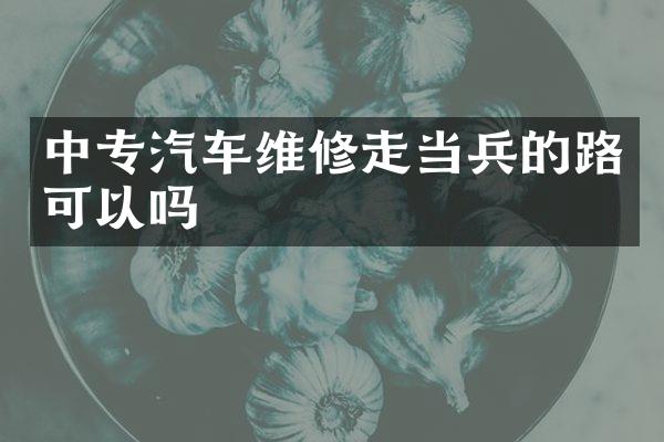 中专汽车维修走当兵的路可以吗