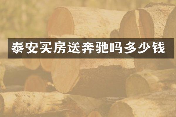 泰安买房送奔驰吗多少钱