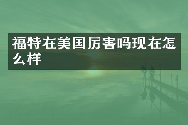 福特在美国厉害吗现在怎么样