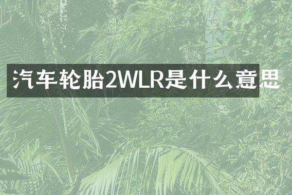 汽车轮胎2WLR是什么意思