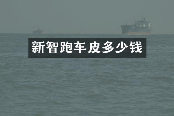 新智跑车皮多少钱