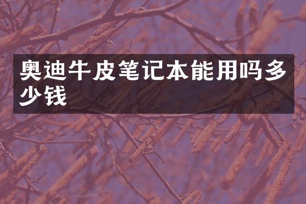 奥迪牛皮笔记本能用吗多少钱