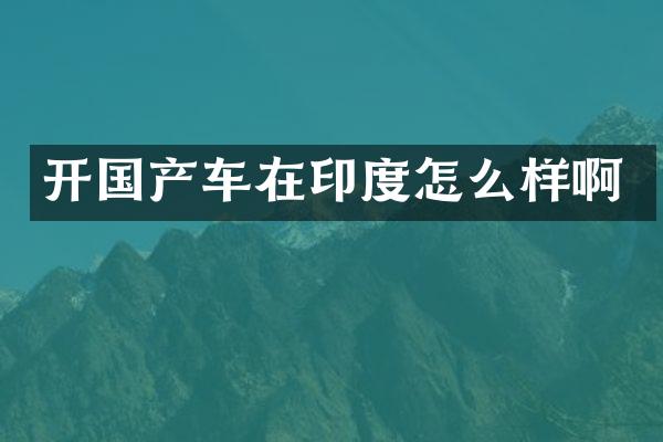 开国产车在印度怎么样啊