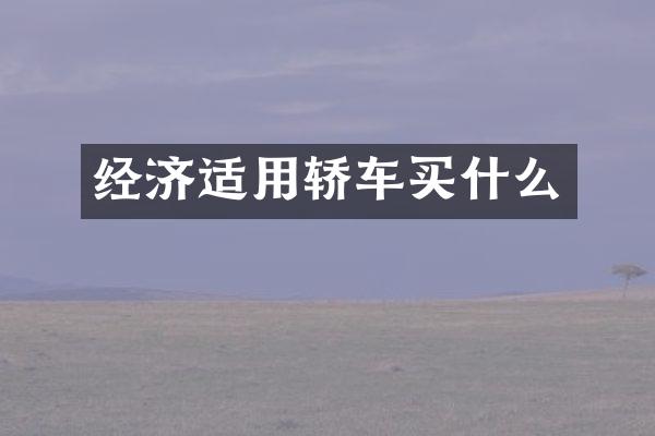 经济适用轿车