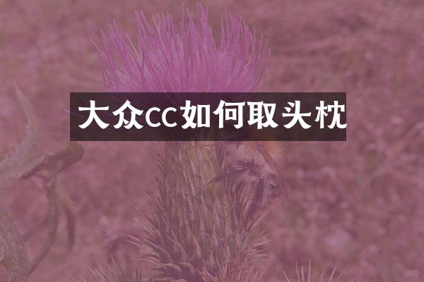 大众cc如何取头枕