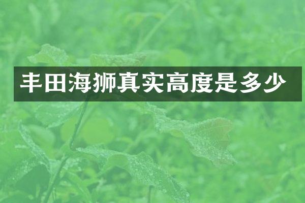 丰田海狮真实高度是多少