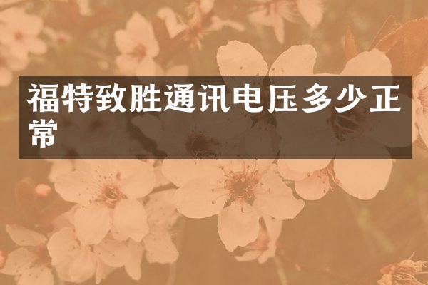福特致胜通讯电压多少正常