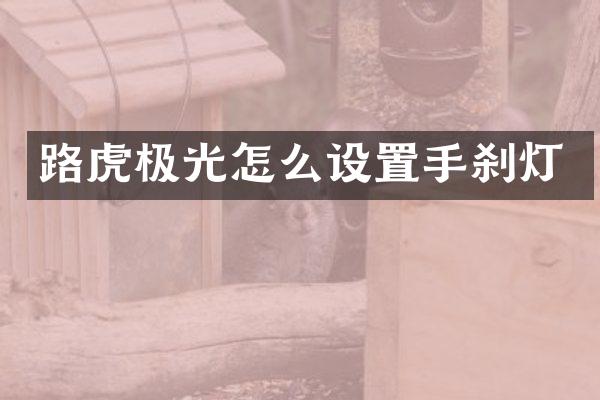 路虎极光怎么设置手刹灯