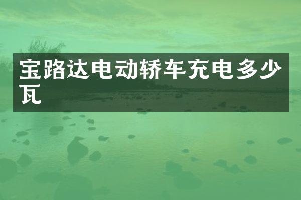 宝路达电动轿车充电多少瓦