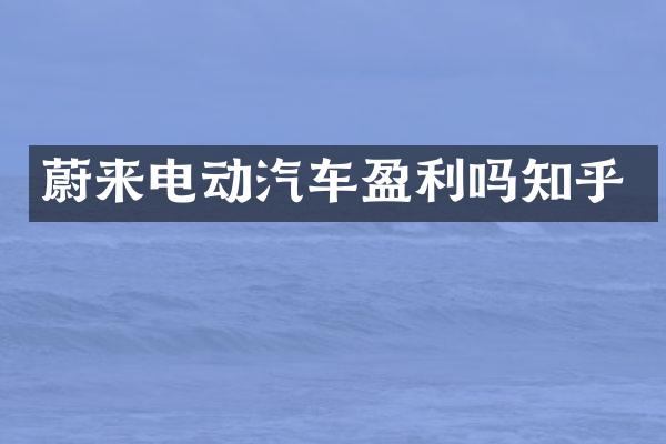 蔚来电动汽车盈利吗知乎