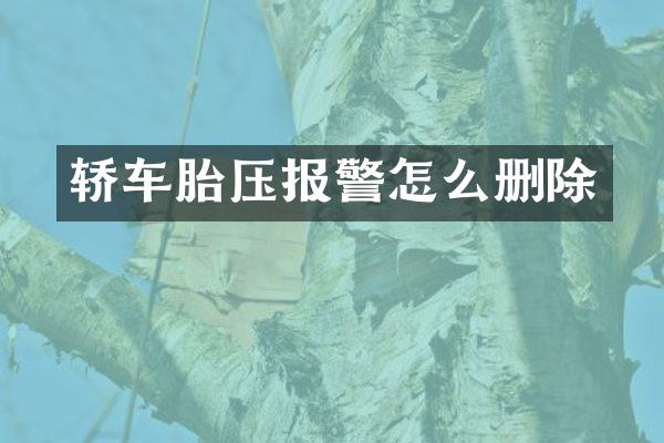 轿车胎压报警怎么删除