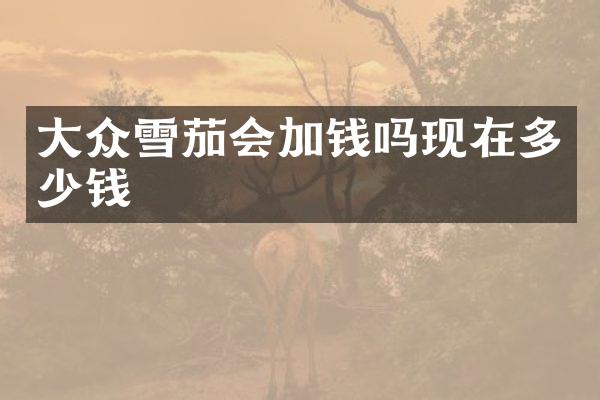 大众会加钱吗现在多少钱