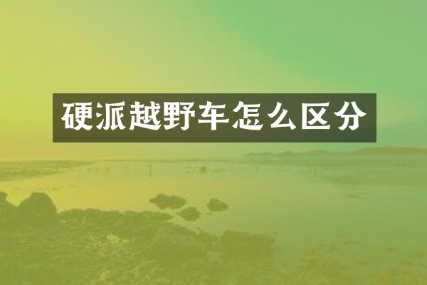 硬派越野车怎么区分