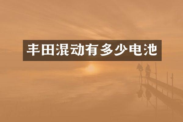 丰田混动有多少电池