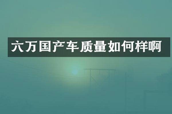 六万国产车质量如何样啊