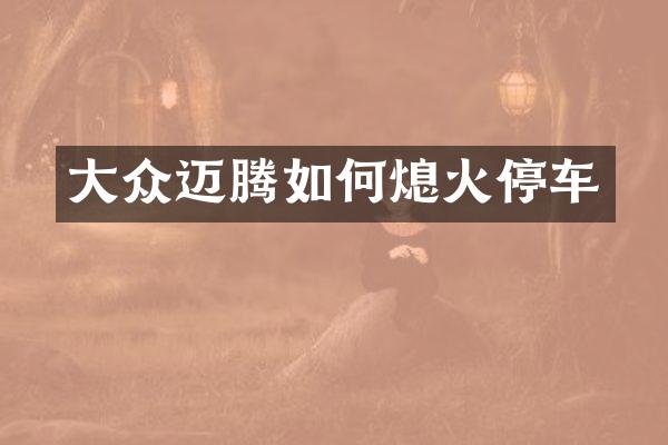 大众迈腾如何熄火停车