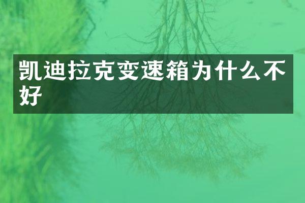 凯迪拉克变速箱为什么不好