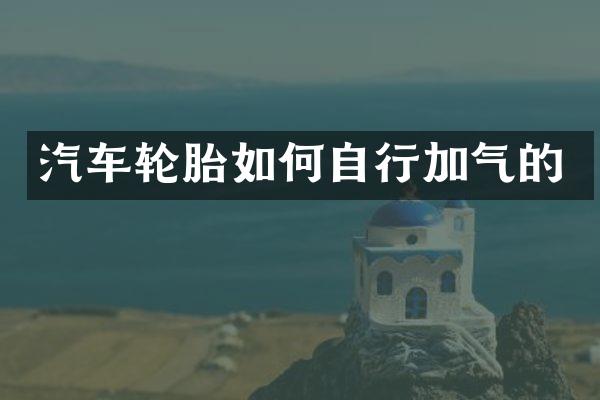 汽车轮胎如何自行加气的