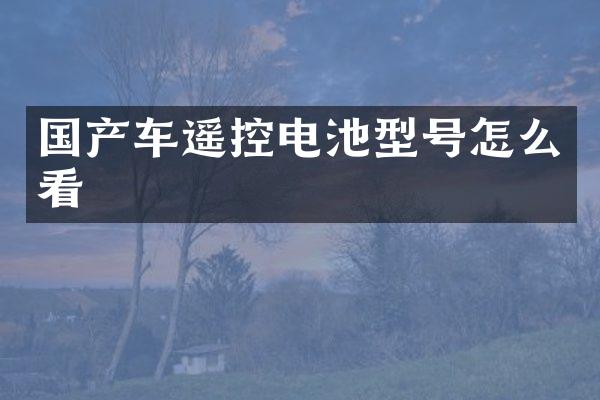 国产车遥控电池型号怎么看