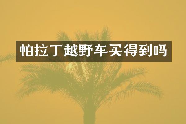 帕拉丁越野车买得到吗