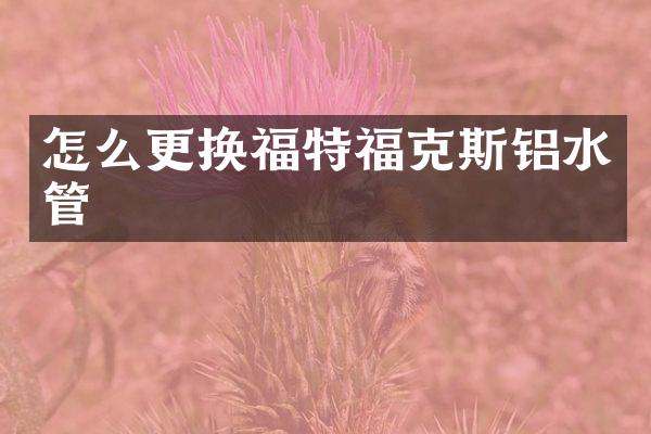 怎么更换福特福克斯铝水管