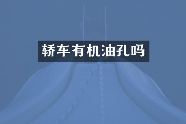 轿车有机油孔吗