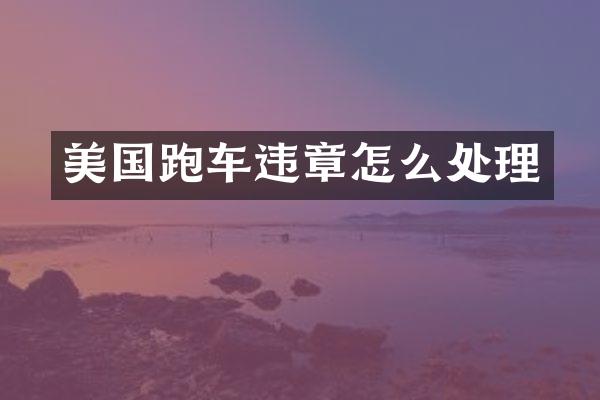 美国跑车违章怎么处理