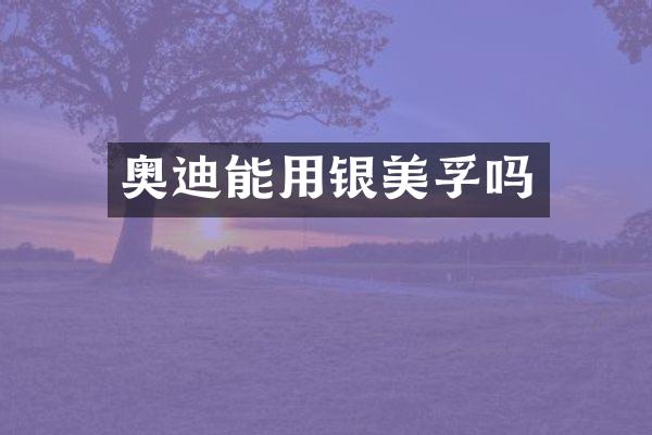奥迪能用银吗