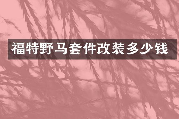 福特野马套件改装多少钱