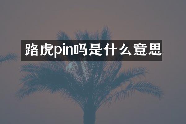 路虎pin吗是什么意思