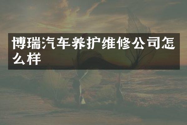 博瑞汽车养护维修公司怎么样