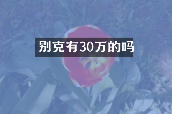 别克有30万的吗